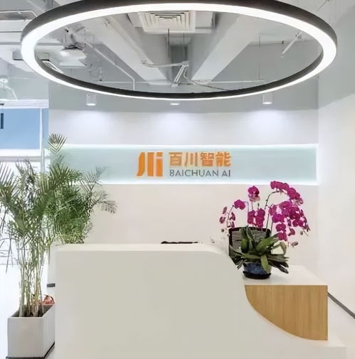 独家对话王小川 大模型创业公司,都要走出互联网大厂的射程