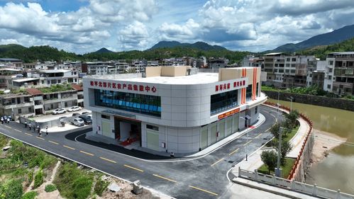深河共建 圳在帮扶丨三年帮扶成就深河力作 和平北部片区农产品集散中心揭牌